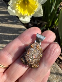 Image 12 of Brown toad charm 