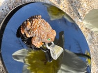 Image 7 of Brown toad charm 