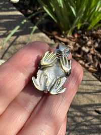 Image 7 of Black toad charm 