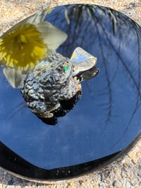 Image 10 of Black toad charm 