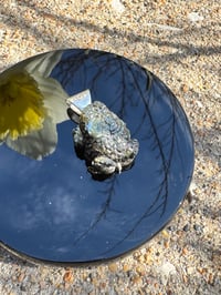 Image 11 of Black toad charm 