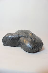 Image 2 of The Flow of the Flock