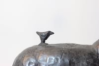 Image 2 of Shared Silence