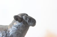 Image 5 of Shared Silence