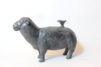 Image 3 of Shared Silence