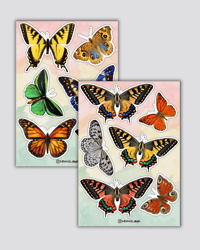 Image 1 of BUTTERFLIES - Bundle