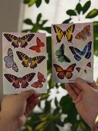Image 2 of BUTTERFLIES - Bundle