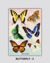 Image 3 of BUTTERFLIES (swipe for more options)