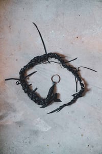 Image 1 of whiptail
