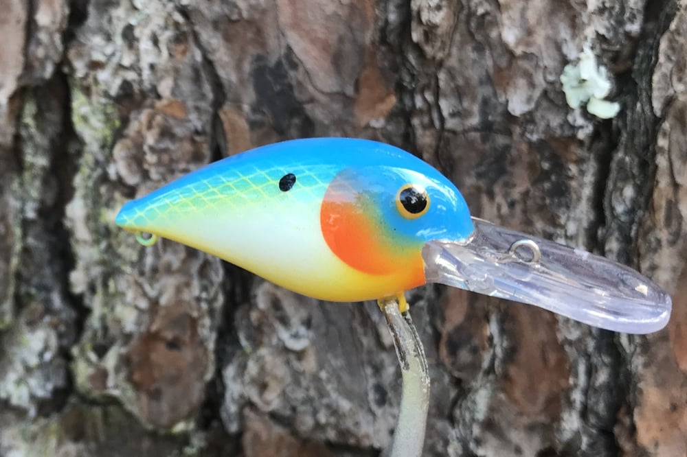 SPEEDBAITS Custom Airbrushed RAPALA WIGGLE WART CLONE 4168 - Image 2