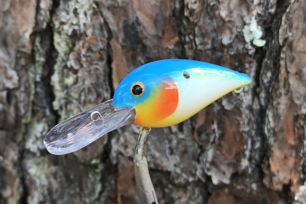 SPEEDBAITS Custom Airbrushed RAPALA WIGGLE WART CLONE 4168