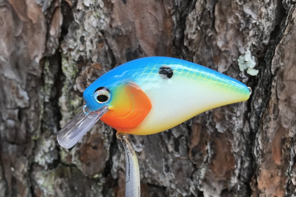 SPEEDBAITS Custom Airbrushed 2.5 Squarebill Crankbait 4282 - Image 4
