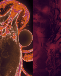 Workshop x2/ Scrittura critica + Inferni Culturali