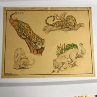 Image 1 of 1984 Spaulding & Roger’s hand colored production flash cats 11x14