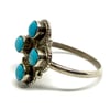 Four Directions Turquoise Ring (Size 11)