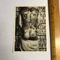 Image 1 of 1982 French postcard of Japanese backpiece 