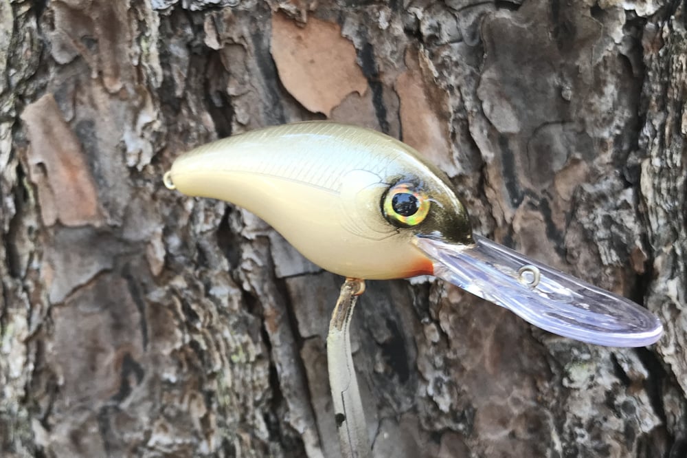 SPEEDBAITS Custom Airbrushed Crankbait 1758 - Image 4