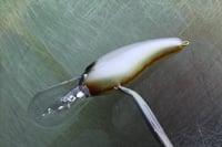 Image 9 of SPEEDBAITS Custom Airbrushed Crankbait 1758