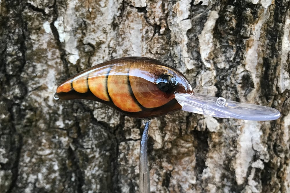  SPEEDBAITS Custom Airbrushed Crankbait 1571 - Image 3