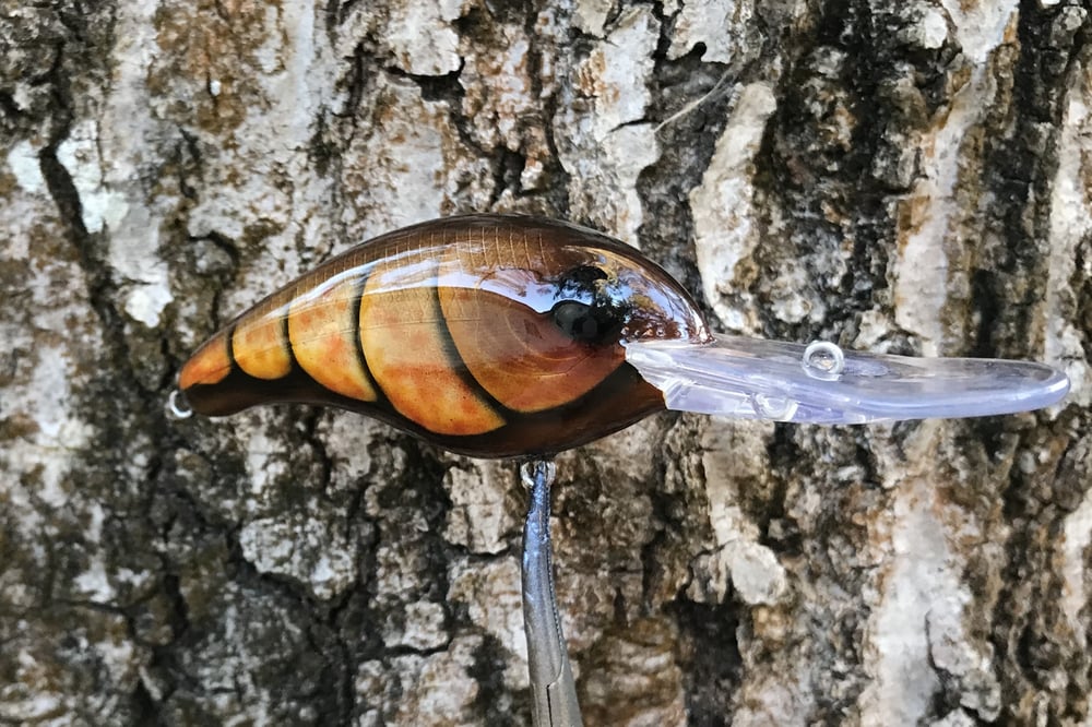 SPEEDBAITS Custom Airbrushed Crankbait 1571 - Image 7