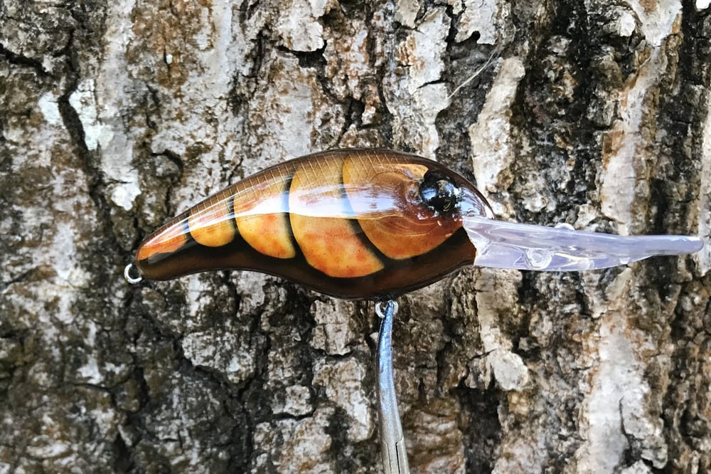  SPEEDBAITS Custom Airbrushed Crankbait 1571 - Image 8