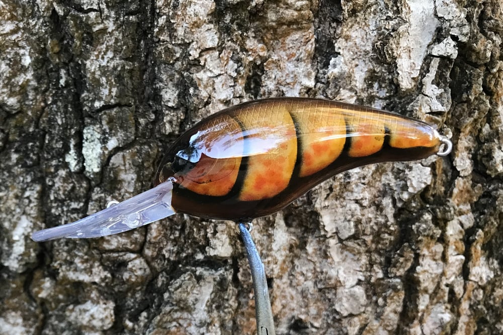 SPEEDBAITS Custom Airbrushed Crankbait 1571 - Image 9