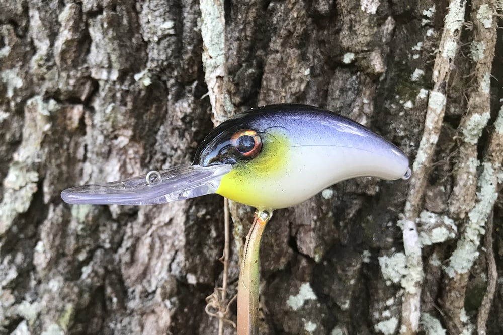 SPEEDBAITS Custom Airbrushed Crankbait 8880 - Image 2