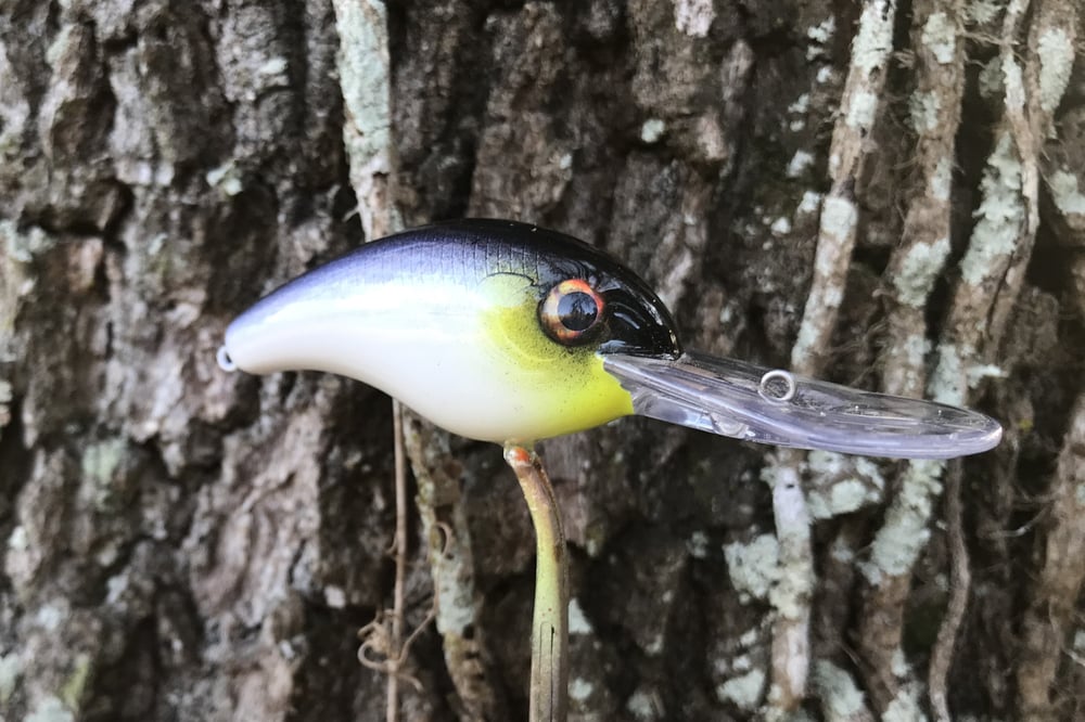 SPEEDBAITS Custom Airbrushed Crankbait 8880 - Image 3