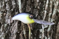 Image 3 of SPEEDBAITS Custom Airbrushed Crankbait 8880