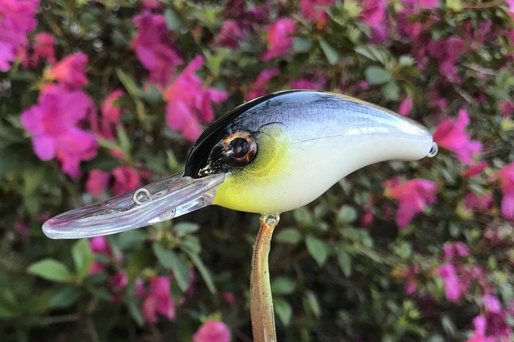 SPEEDBAITS Custom Airbrushed Crankbait 8880