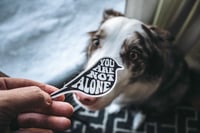 Image 4 of Messenger Stickers