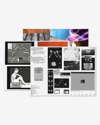 Image 5 of  PLATES #2: BODY ISSUE BY PAGE BUREAU