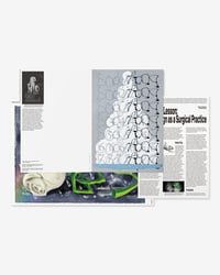 Image 8 of  PLATES #2: BODY ISSUE BY PAGE BUREAU