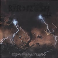 Image 1 of Birdflesh - Extreme Graveyard Tornado Tape 