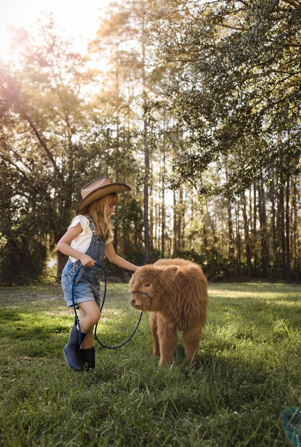 Image of Now Booking: Individual Farm Sessions 📷🐮
