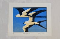 Image 1 of Swallow Tailed Kite - Limited Edition Lino Print