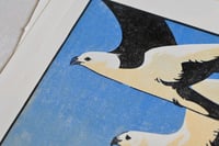 Image 3 of Swallow Tailed Kite - Limited Edition Lino Print
