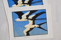 Image 4 of Swallow Tailed Kite - Limited Edition Lino Print