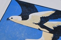 Image 5 of Swallow Tailed Kite - Limited Edition Lino Print