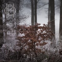 Image 1 of Hell Is Other People "Embrace" CD