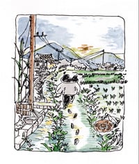 Image 3 of Postcard set of <Fields of Sugar, Fields of Memry>