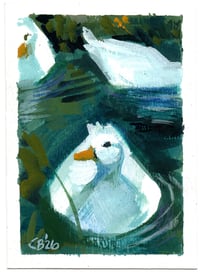 Ducks 1 - Gouache Painting