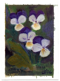 Johnny Jump-Ups 1 - Gouache Painting