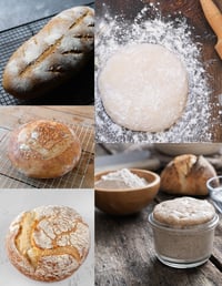 Sourdough Loaves