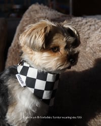 Image 1 of BANDANA | Classic Check