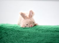 Image 3 of Spring Bunny