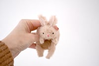 Image 1 of Spring Bunny