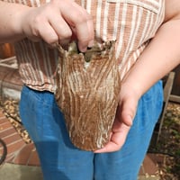 Image 3 of Bark Texture Vase