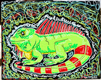 Iguana 