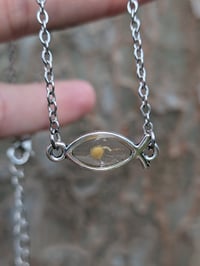 Image 2 of ROOTED in Christ Necklace